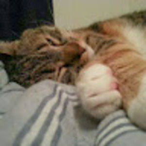 Meet your Posher, Robert